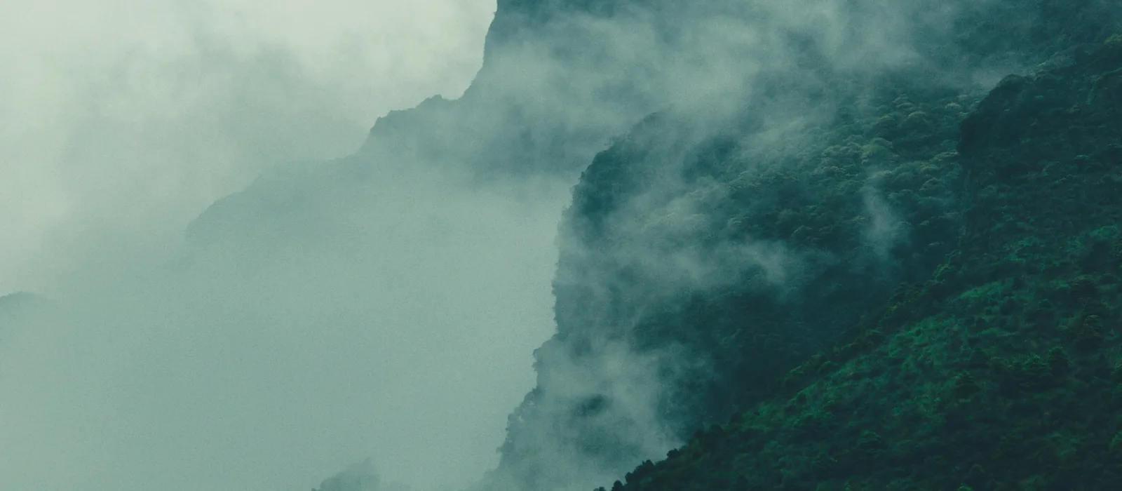 Montagnes noyées dans la brume, dans des tons de vert profond